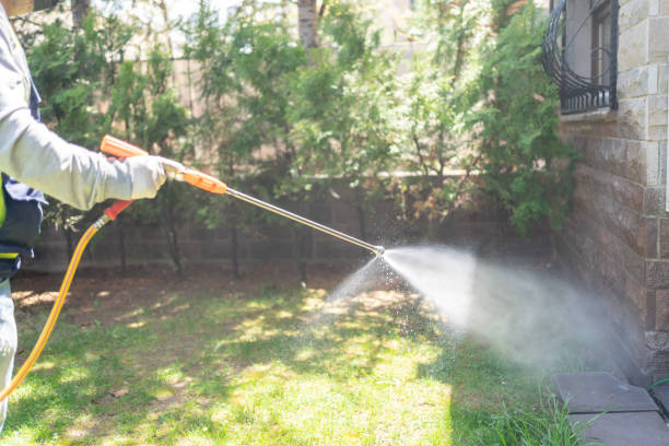Best Best Pest Control Companies  in Bangor, ME