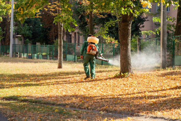 Best Pest Control Near Me in Bangor, ME