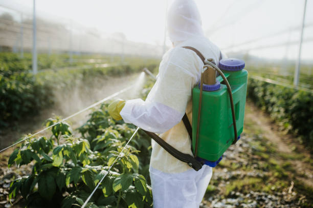 Best Best Pest Control Near Me  in Bangor, ME
